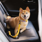 Buffer Adjustable Dog Car Seat Belt