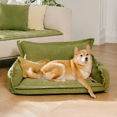 Orthopedic All-season Dual-layer Removable Dog Bed - Retro