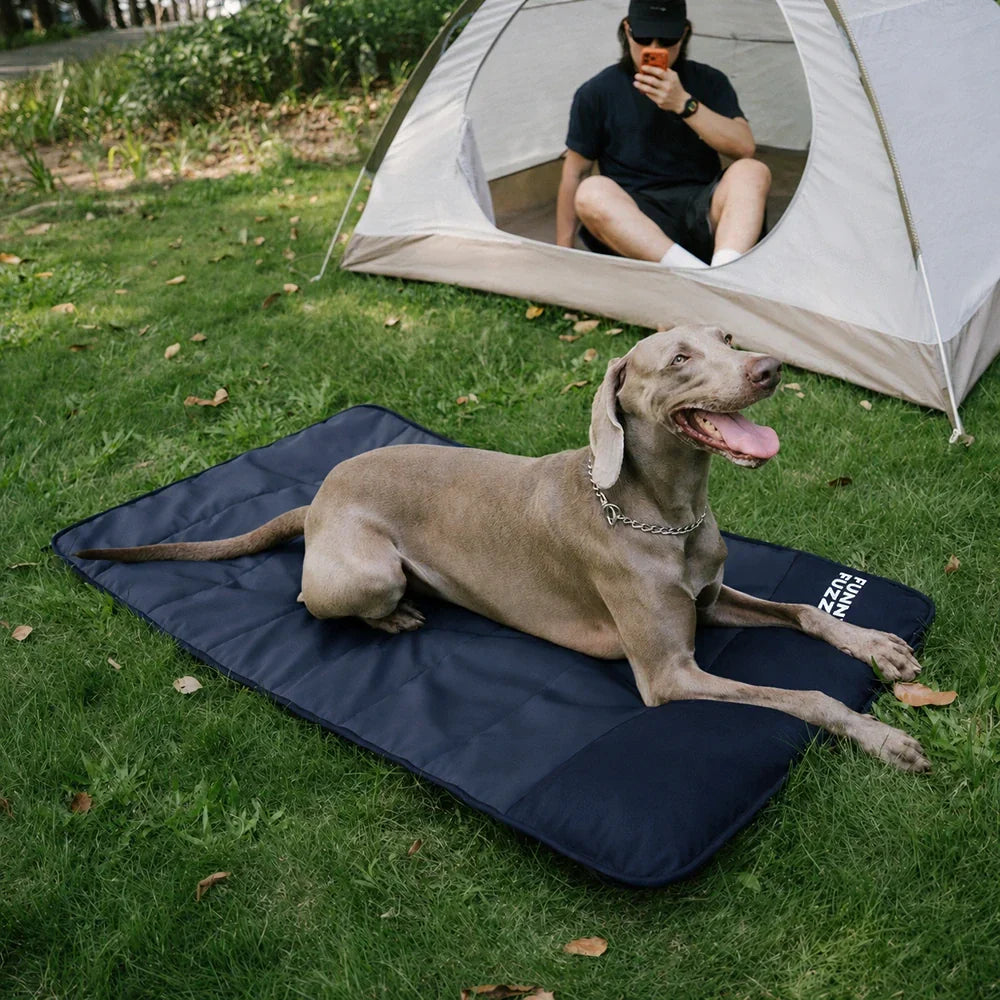 Outdoor Portable Waterproof Dog Mat-Urban Roaming