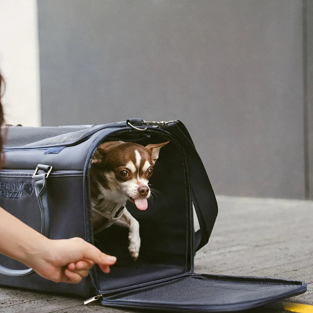 Dog Airline-Compliant Soft-Sided Carriers-Urban Roaming