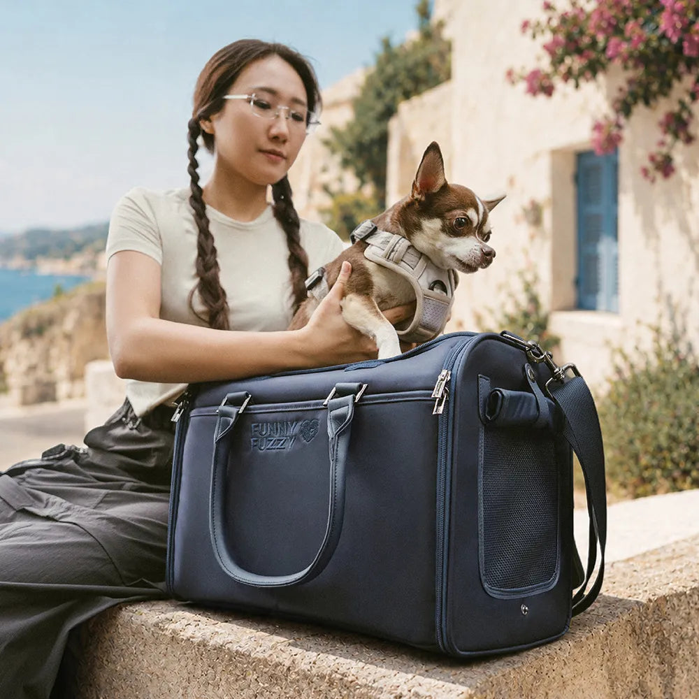 Cat Airline-Compliant Soft-Sided Carriers-Urban Roaming