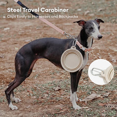 Collapsible Silicone Dog Bowl-Urban Roaming
