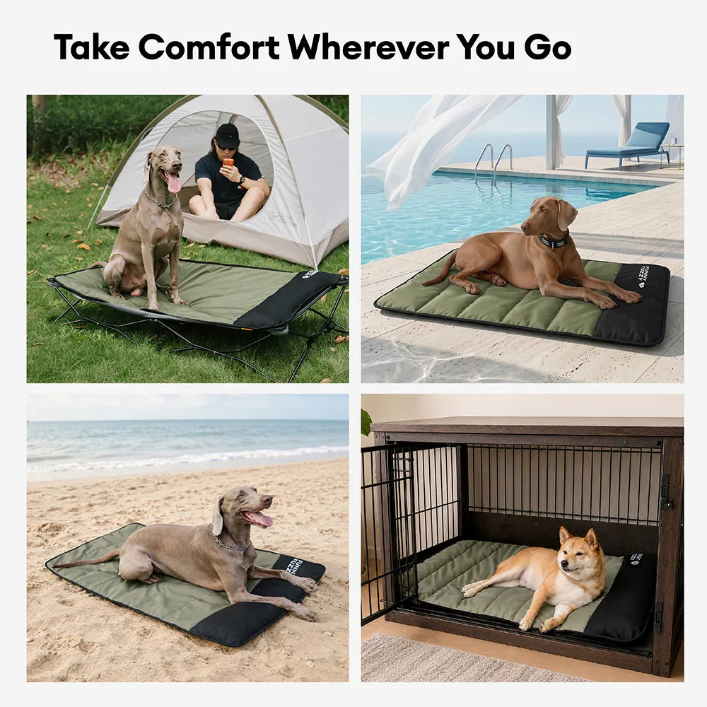 Outdoor Portable Waterproof Dog Mat-Urban Roaming