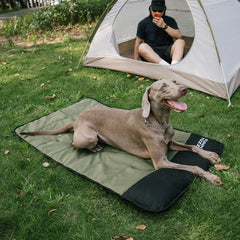 Outdoor Portable Waterproof Dog Mat-Urban Roaming