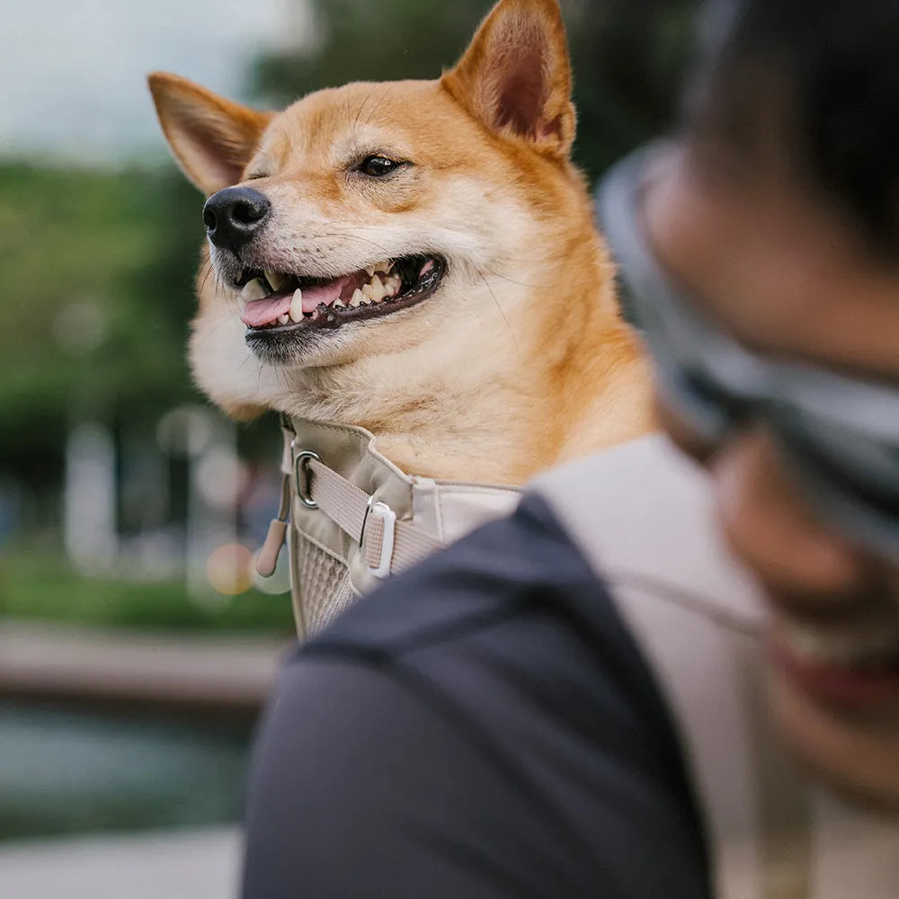 Dog Carrier Backpack-Urban Roaming