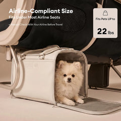 Cat Airline-Compliant Soft-Sided Carriers-Urban Roaming