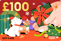 Holiday Gift Card