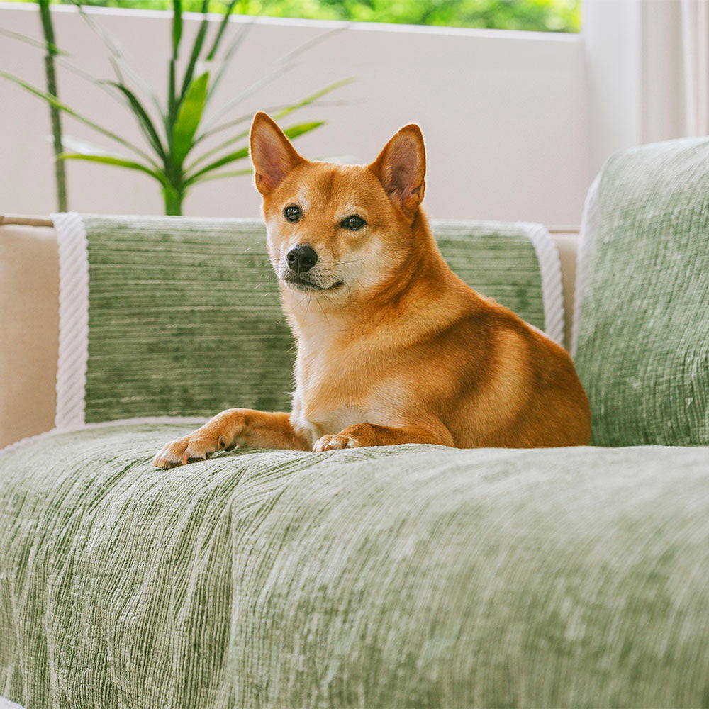 All-Season Striped Pet Rug Furniture Protector with Armrest Sofa Cover - Keep Still