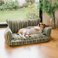 Orthopedic All-season Dog Sofa Bed Boucle Dog Bed - Funnyfuzzy SnugNest