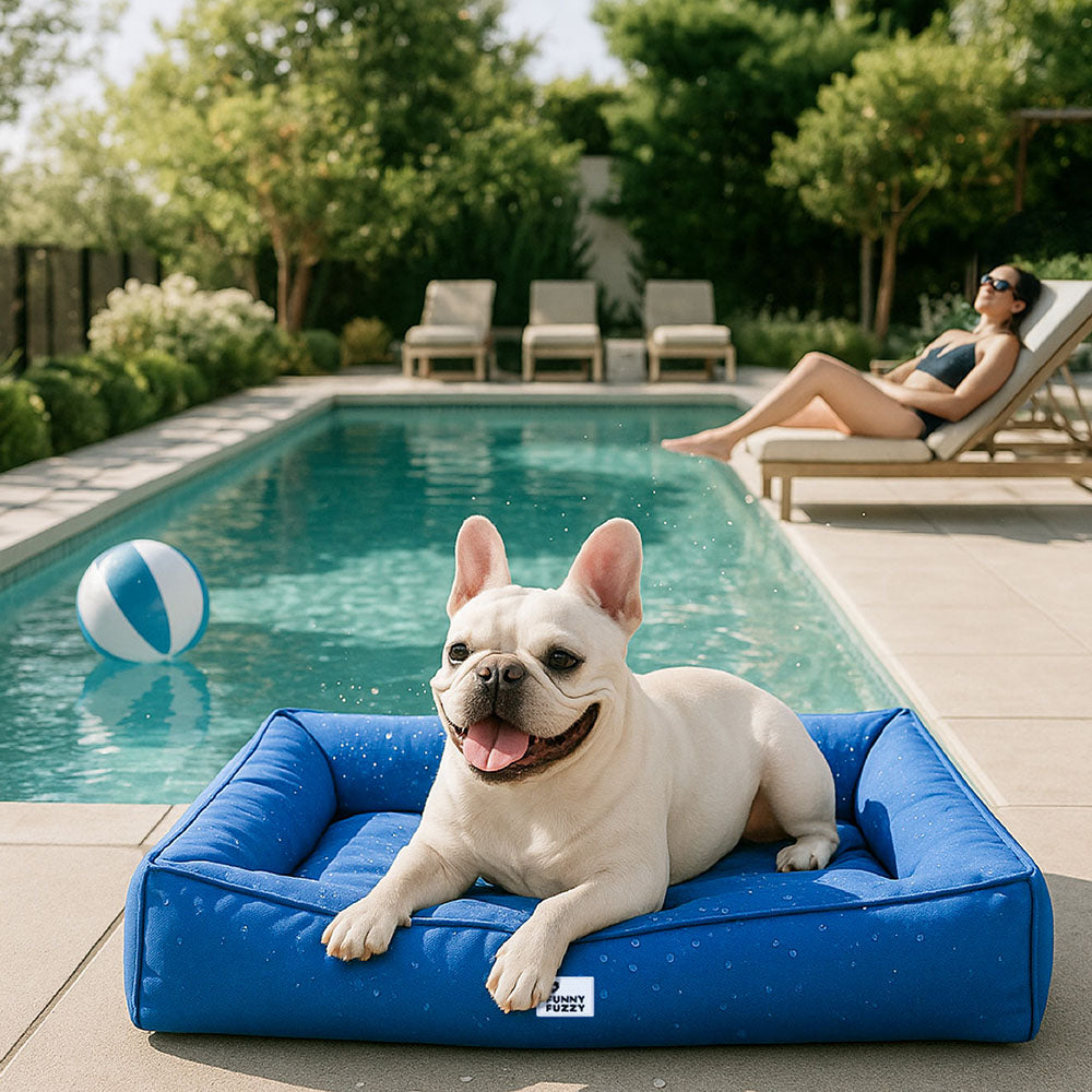 Fully Orthopedic Surround Support Waterproof Large Dog Bed - Pet-Friendly Bedroom