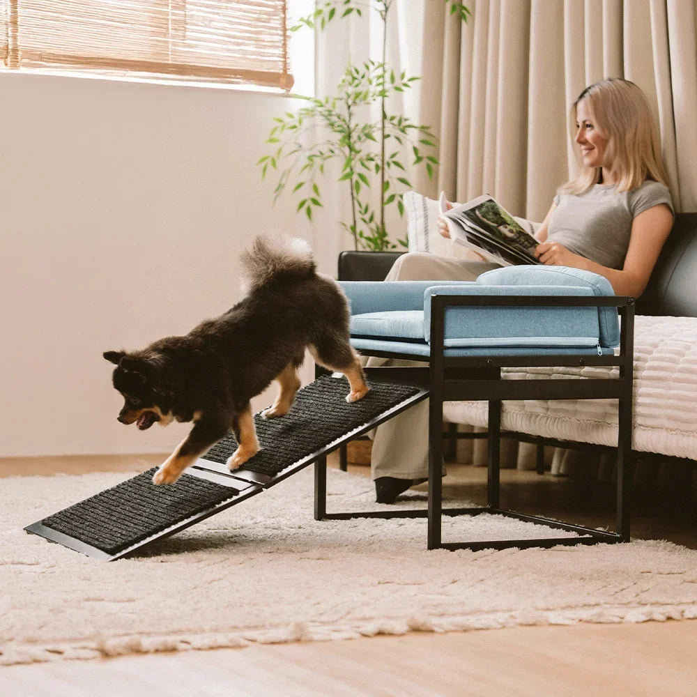 Elevated Pet Sofa Bed with Stairs Ramp for Bedside Lounge or Dog Window Perch - Pet-Friendly Bedroom