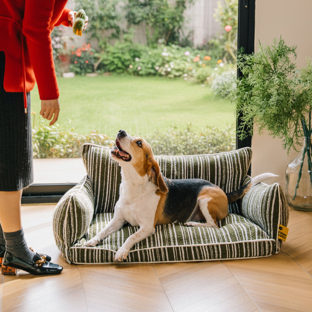 Orthopedic All-season Dog Sofa Bed Boucle Dog Bed - Funnyfuzzy SnugNest