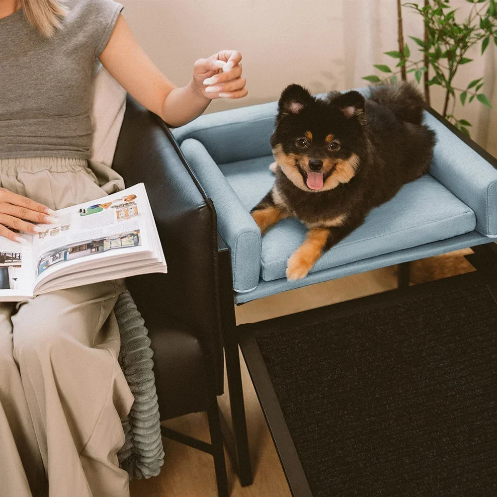 Elevated Pet Sofa Bed with Stairs Ramp for Bedside Lounge or Dog Window Perch - Pet-Friendly Bedroom