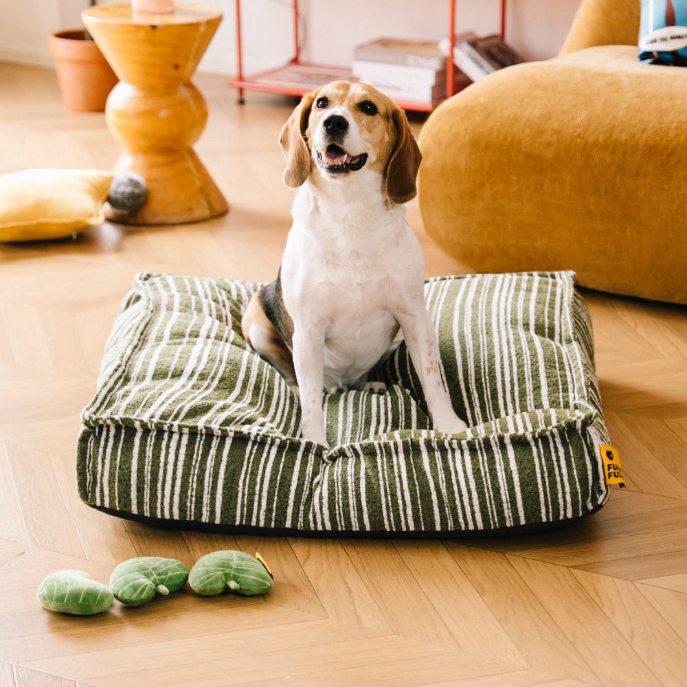 Sustainable Storage Pouf Ottoman & Boucle Dog Bed - Funnyfuzzy SnugNest