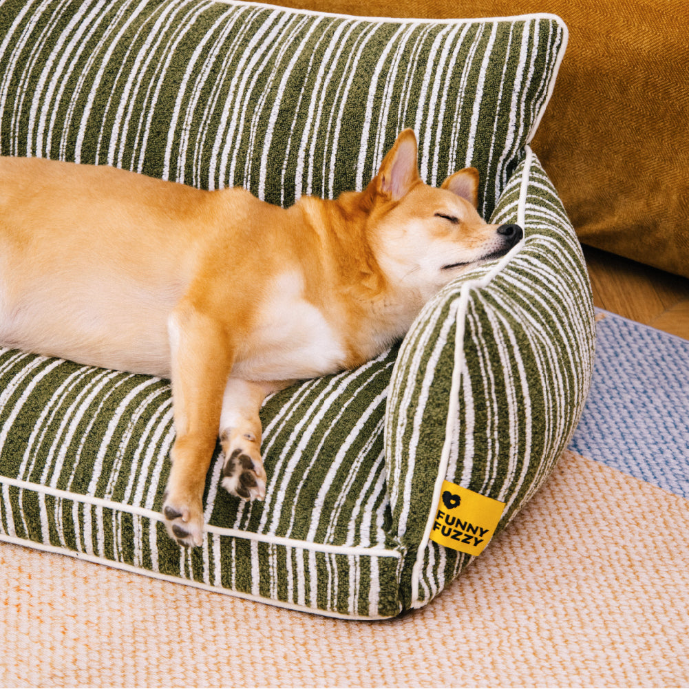 Orthopedic All-season Dog Sofa Bed Boucle Dog Bed - Funnyfuzzy SnugNest