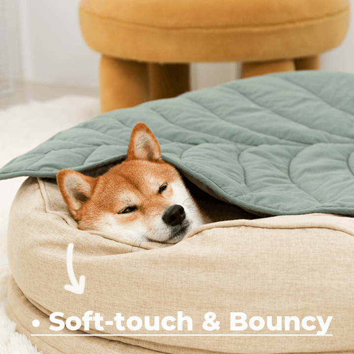 Orthopaedic Machine Washable Dog Bed Calming Bed - Donut