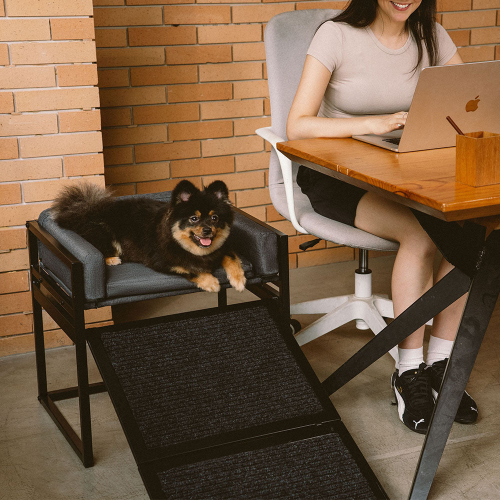 Elevated Pet Sofa Bed with Stairs Ramp for Bedside Lounge or Dog Window Perch - Pet-Friendly Bedroom