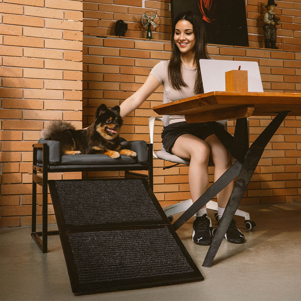 Elevated Pet Sofa Bed with Stairs Ramp for Bedside Lounge or Dog Window Perch - Pet-Friendly Bedroom