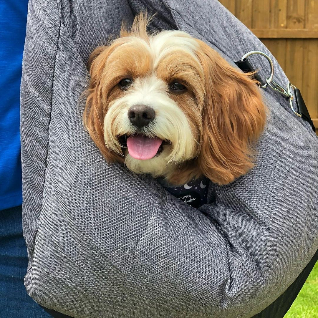 ISOFIX Dog Car Seat Bed with ISOFIX System - First Class