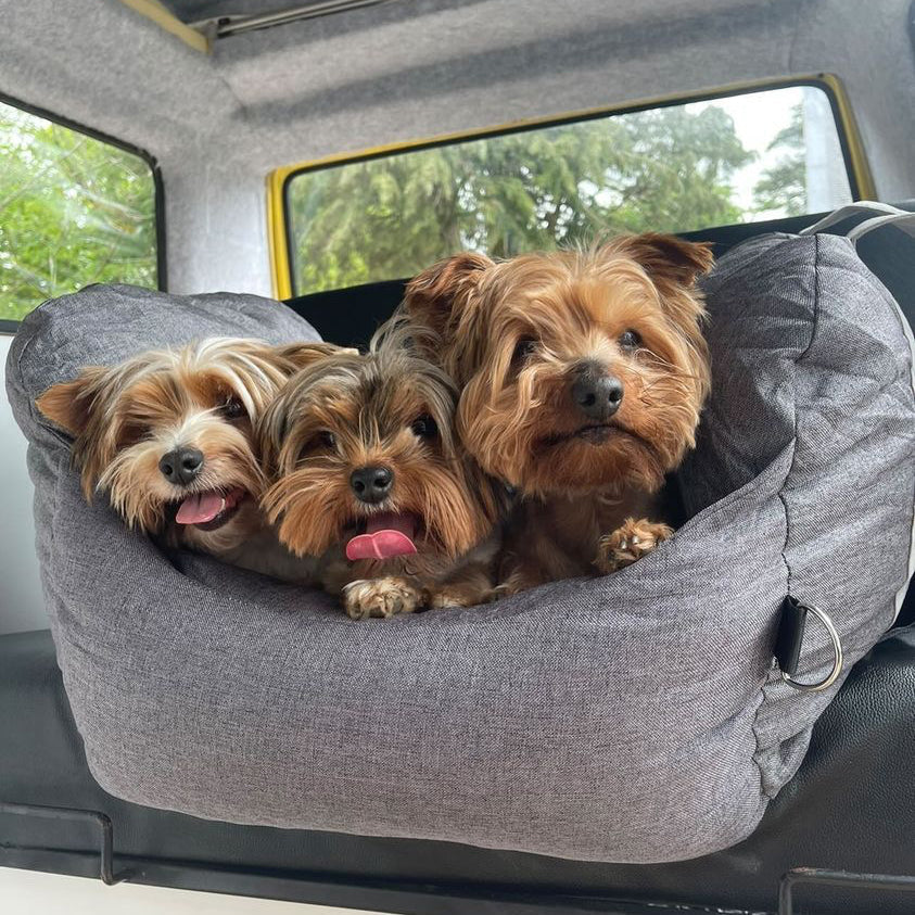 ISOFIX Dog Car Seat Bed with ISOFIX System - First Class