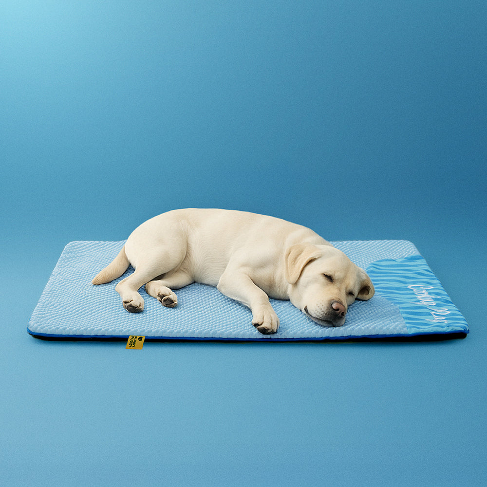 Large Washable Cooling Non-slip Dog Mat for Crate