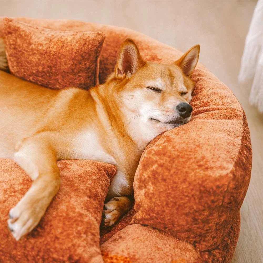 Luxe Diamond Velvet Removable Orthopaedic Donut Dog Bed With Pillow - DreamNest