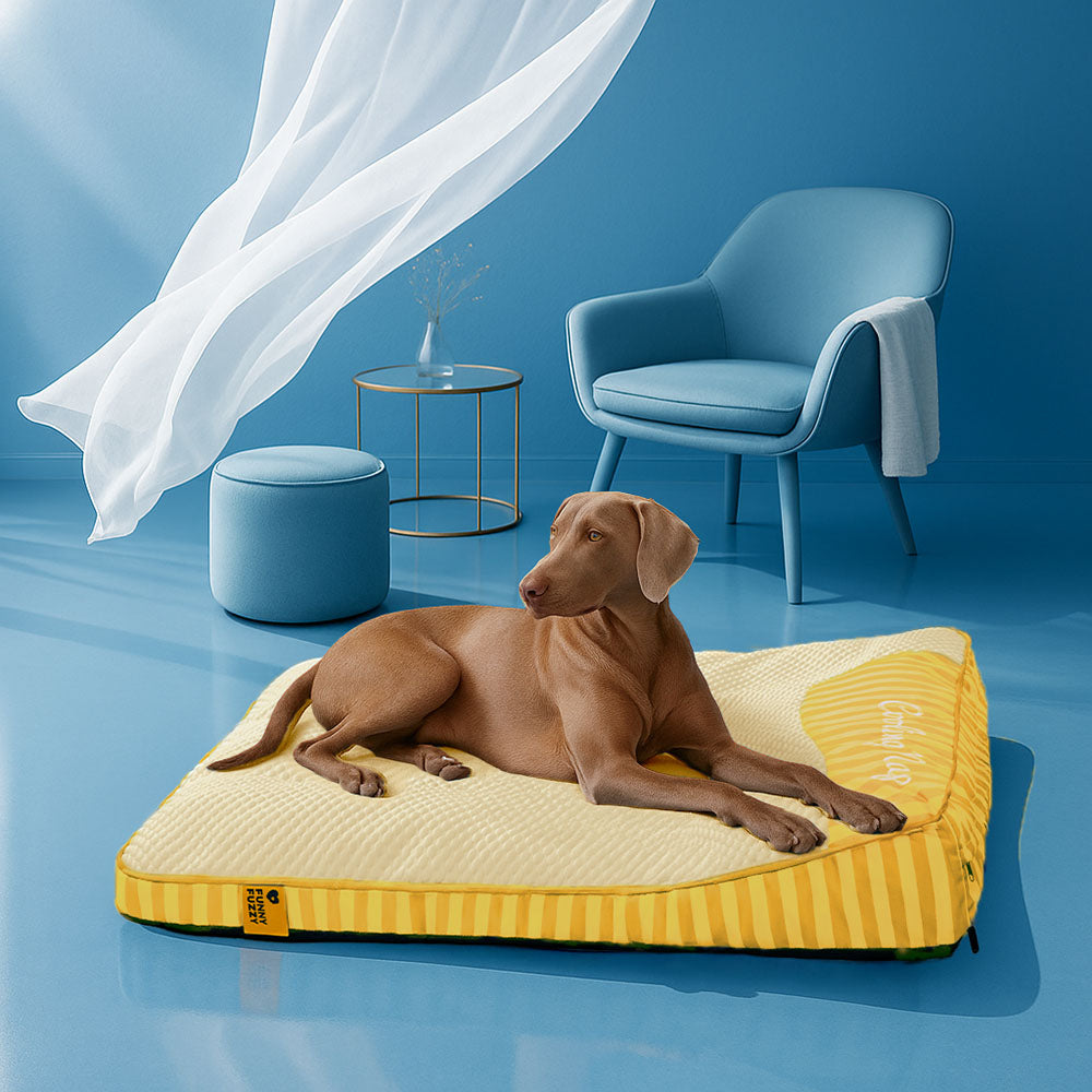 Extra Large Cooling Washable Rectangle Orthopaedic Dog Bed - Pet-Friendly Bedroom