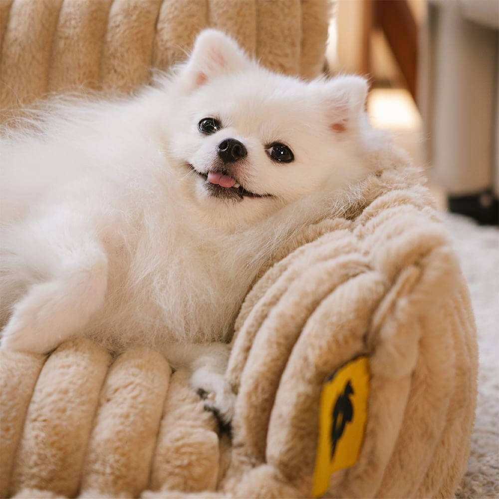 Orthopedic Dog Sofa Bed With Pillow-Snoozy Dream