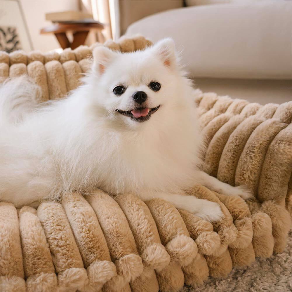 Large Washable Fluffy Orthopedic Soft Dog Pillow Outdoor Dog Sofa Bed-Snoozy Dream