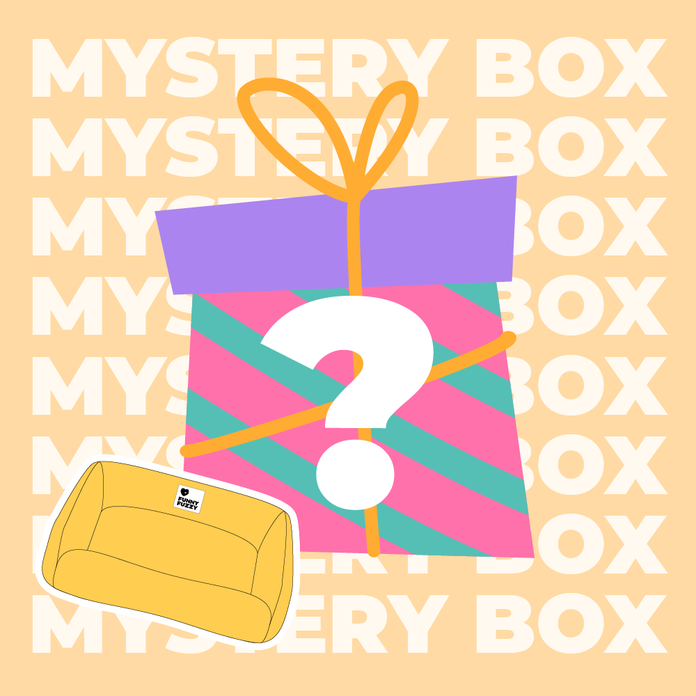 Mystery Box - Premium Dog Bed - Random - 1pc
