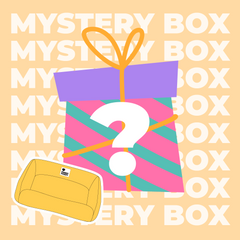 Mystery Box - Premium Dog Bed - Random - 1pc