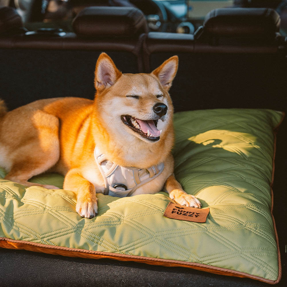 Luxury Water-repellent Dual-Sided Calming Dog Mat Bed