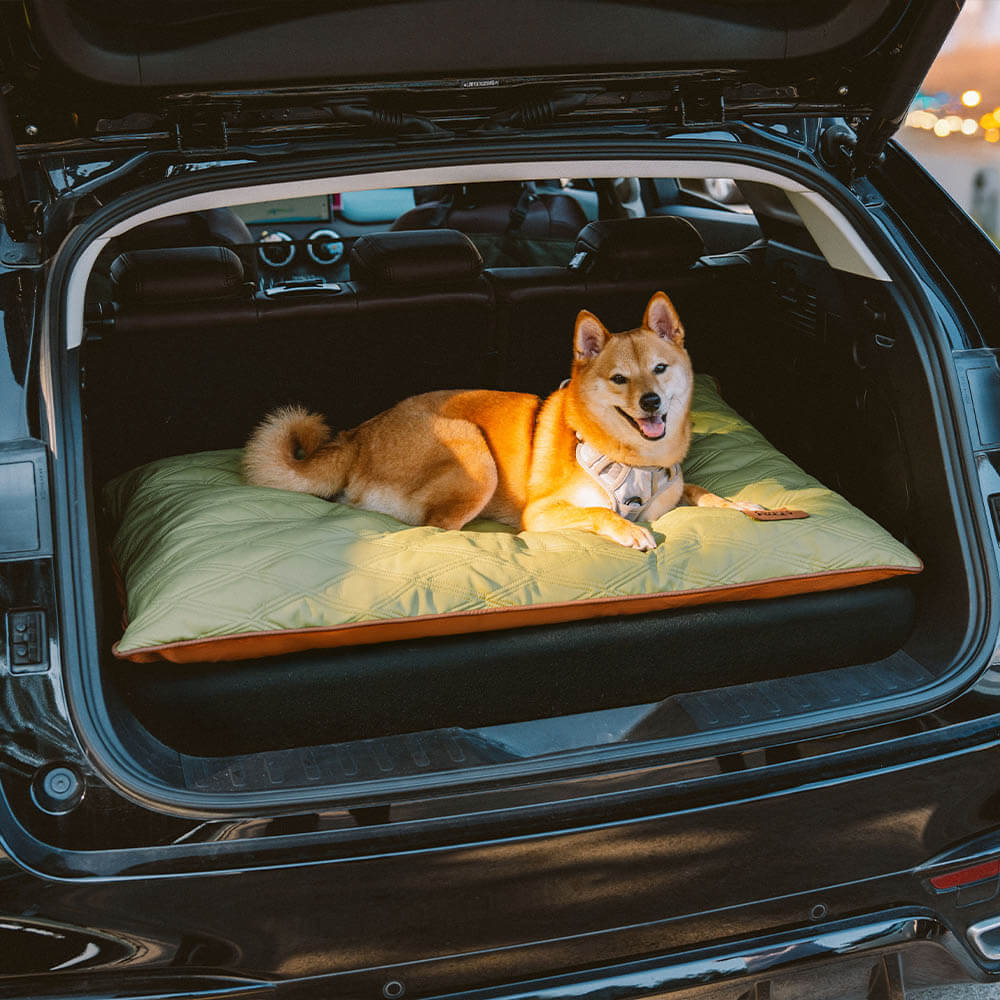 Luxury Water-repellent Dual-Sided Calming Dog Mat Bed
