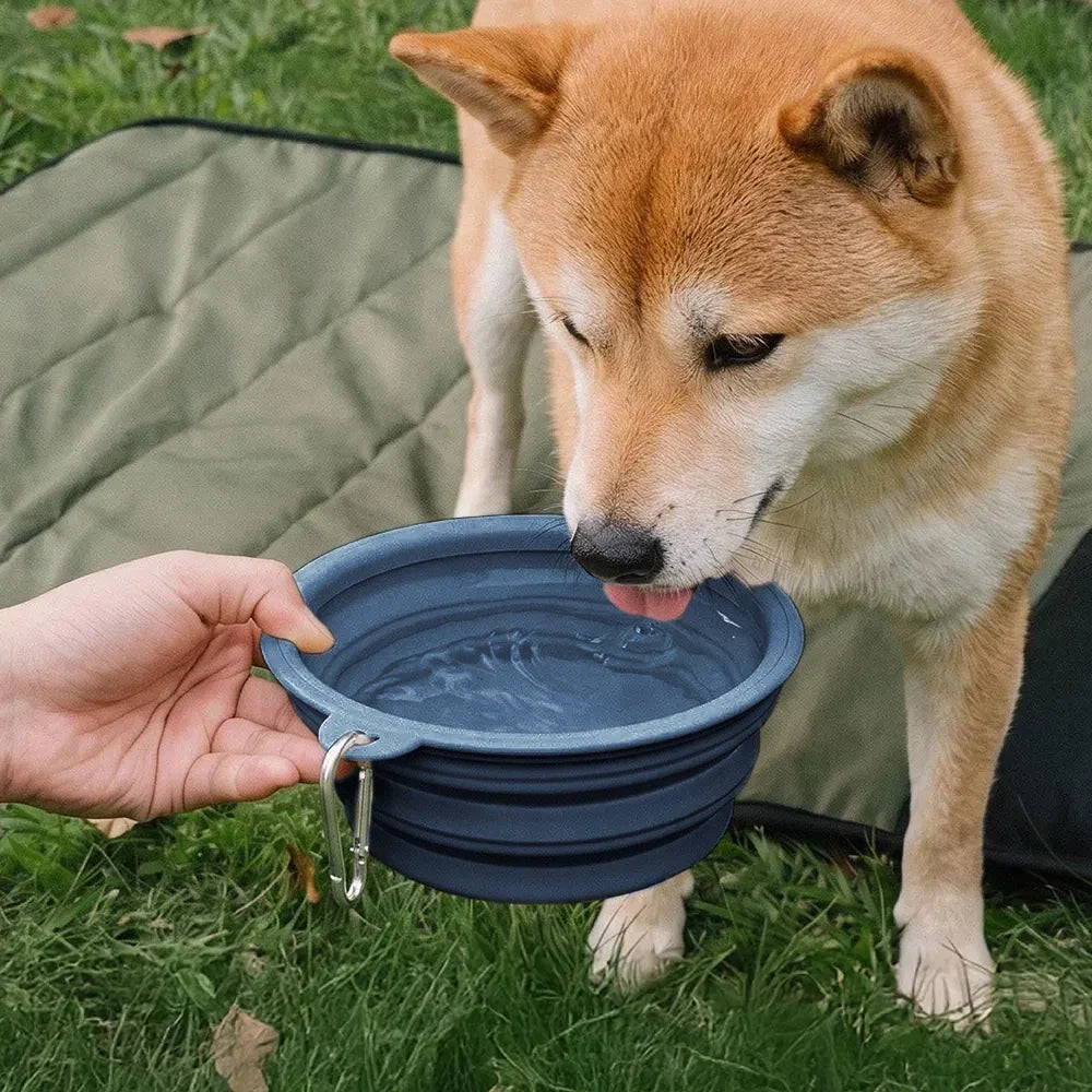 Collapsible Silicone Dog Bowl-Urban Roaming