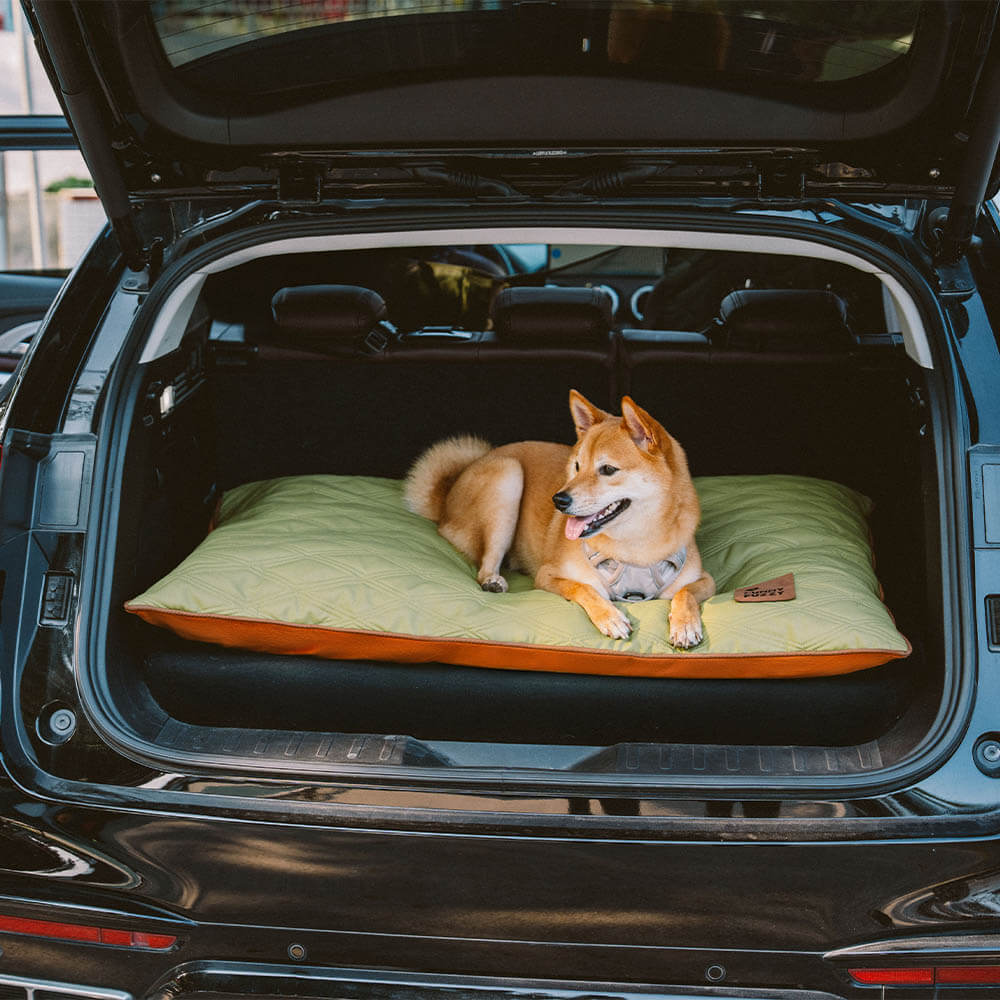 Luxury Water-repellent Dual-Sided Calming Dog Mat Bed