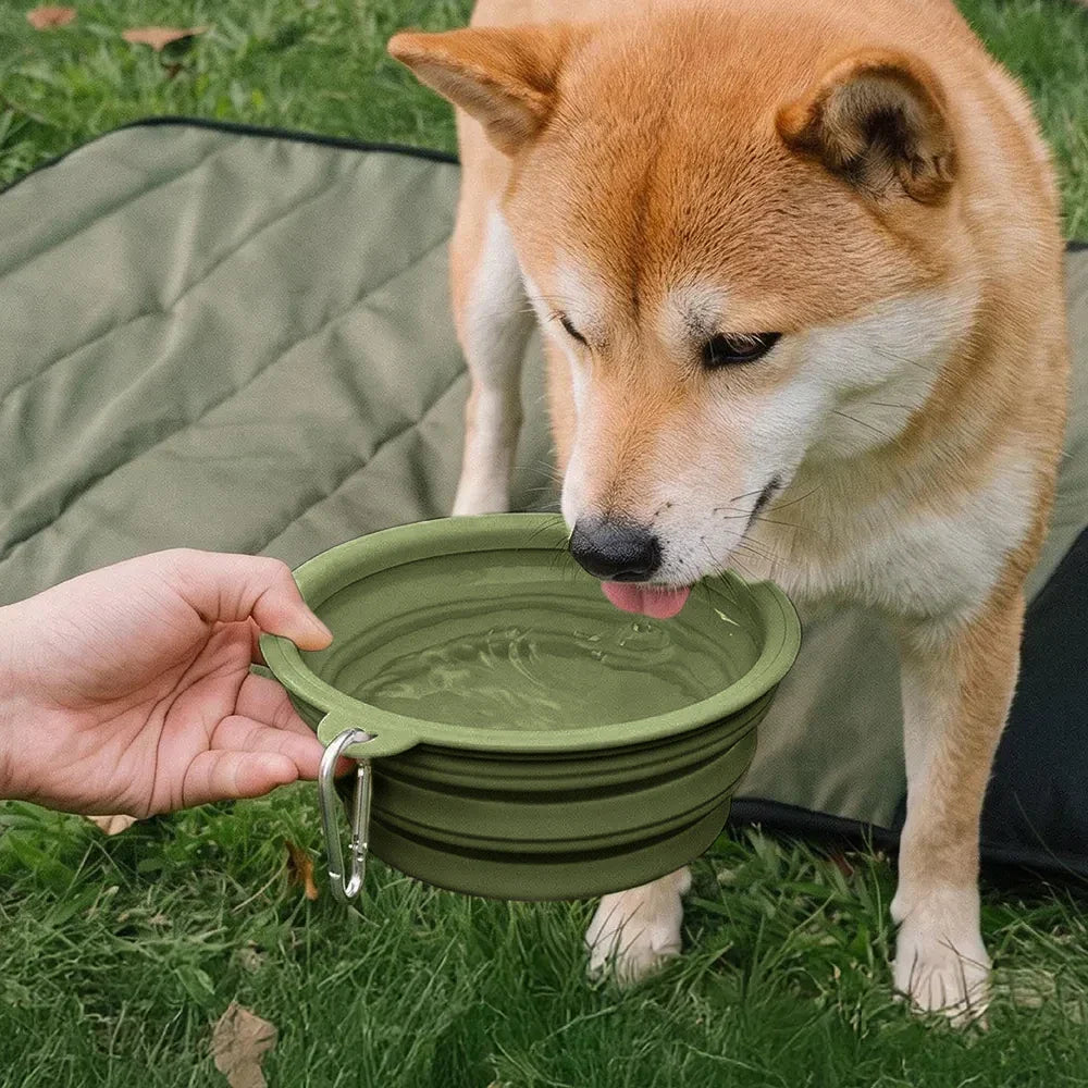 Collapsible Silicone Dog Bowl-Urban Roaming