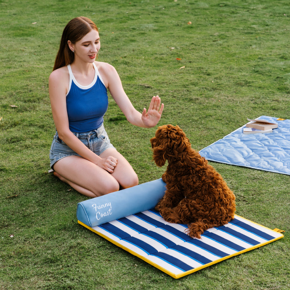 Portable Cooling Cat & Dog Mat - Chill Nest