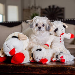 Adorable Plush Lamb Squeaker Toy Dog Interactive Toy