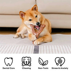 Bacon Flavoured Durable Teething Bones Dog Chew Toy