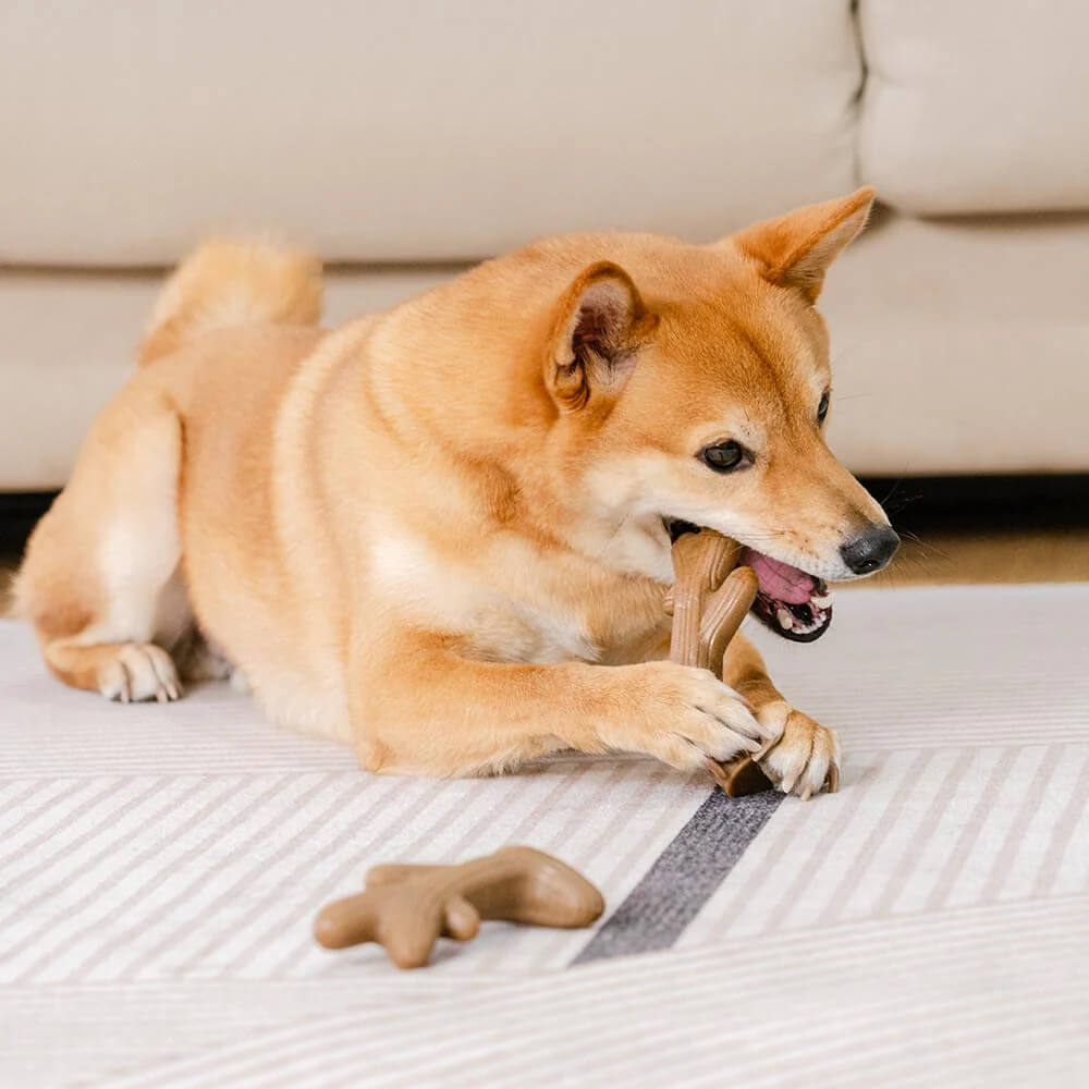 Bacon Flavoured Durable Teething Bones Dog Chew Toy