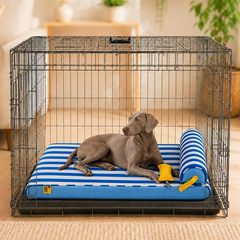 Cooling Orthopedic Dog Bed for Crate