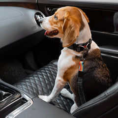 Colourful Buffer Adjustable Dog Car Seat Belt