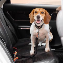 Colourful Buffer Adjustable Dog Car Seat Belt