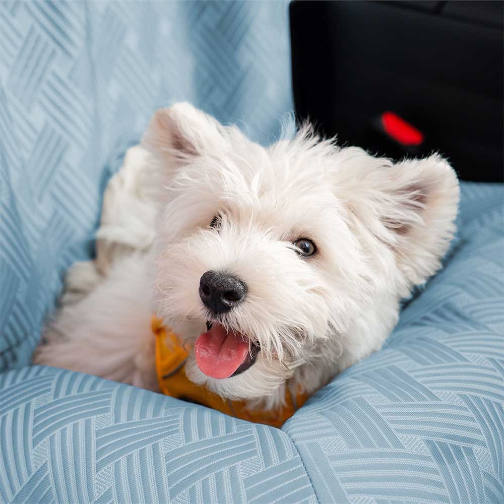 Cooling Travel Bolster Safety Back Seat Large Dog Car Seat Bed - Roadtrip