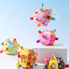 Cute Embroidered Squeaky Ball Interactive Dog Toys