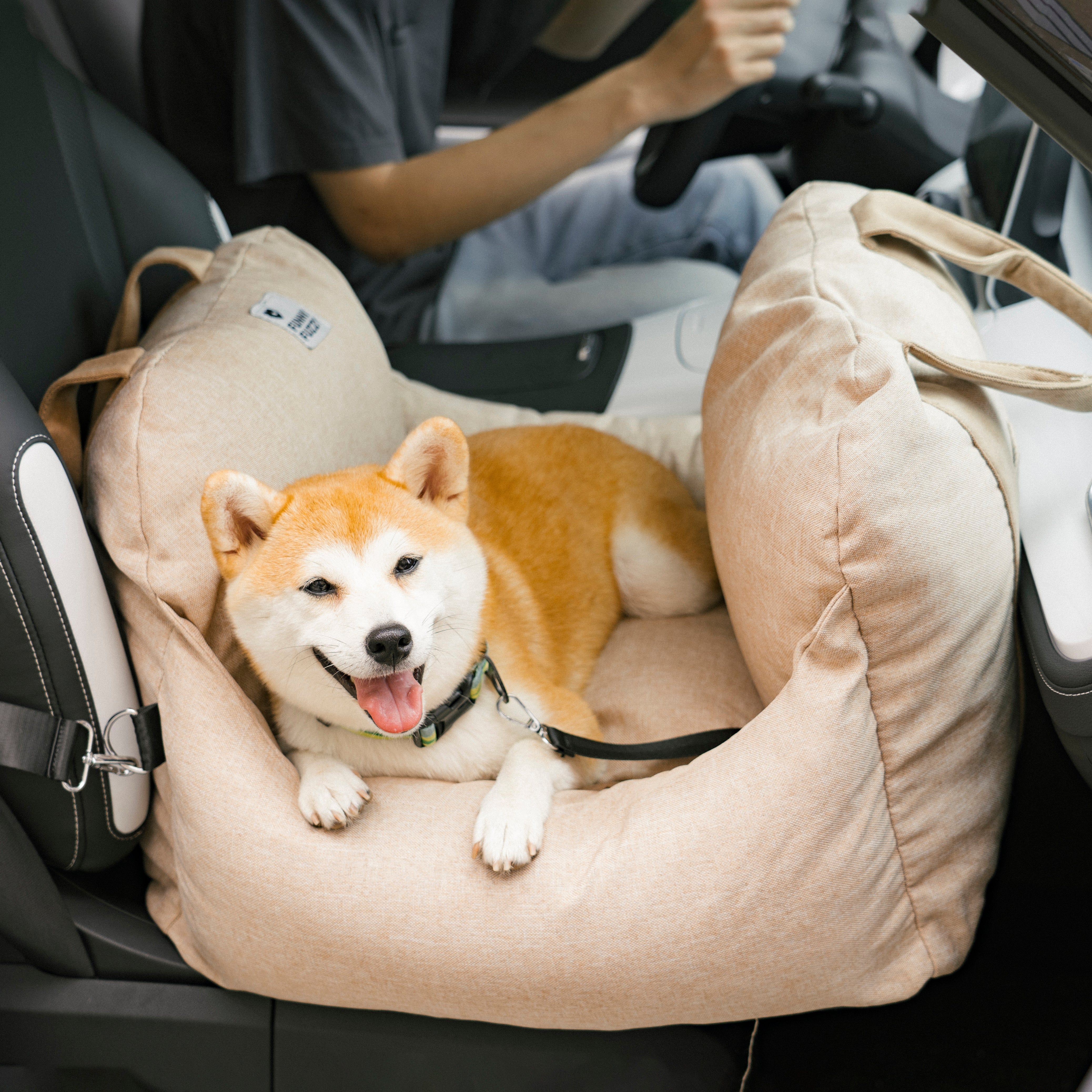 ISOFIX Dog Car Seat Bed with ISOFIX System - First Class