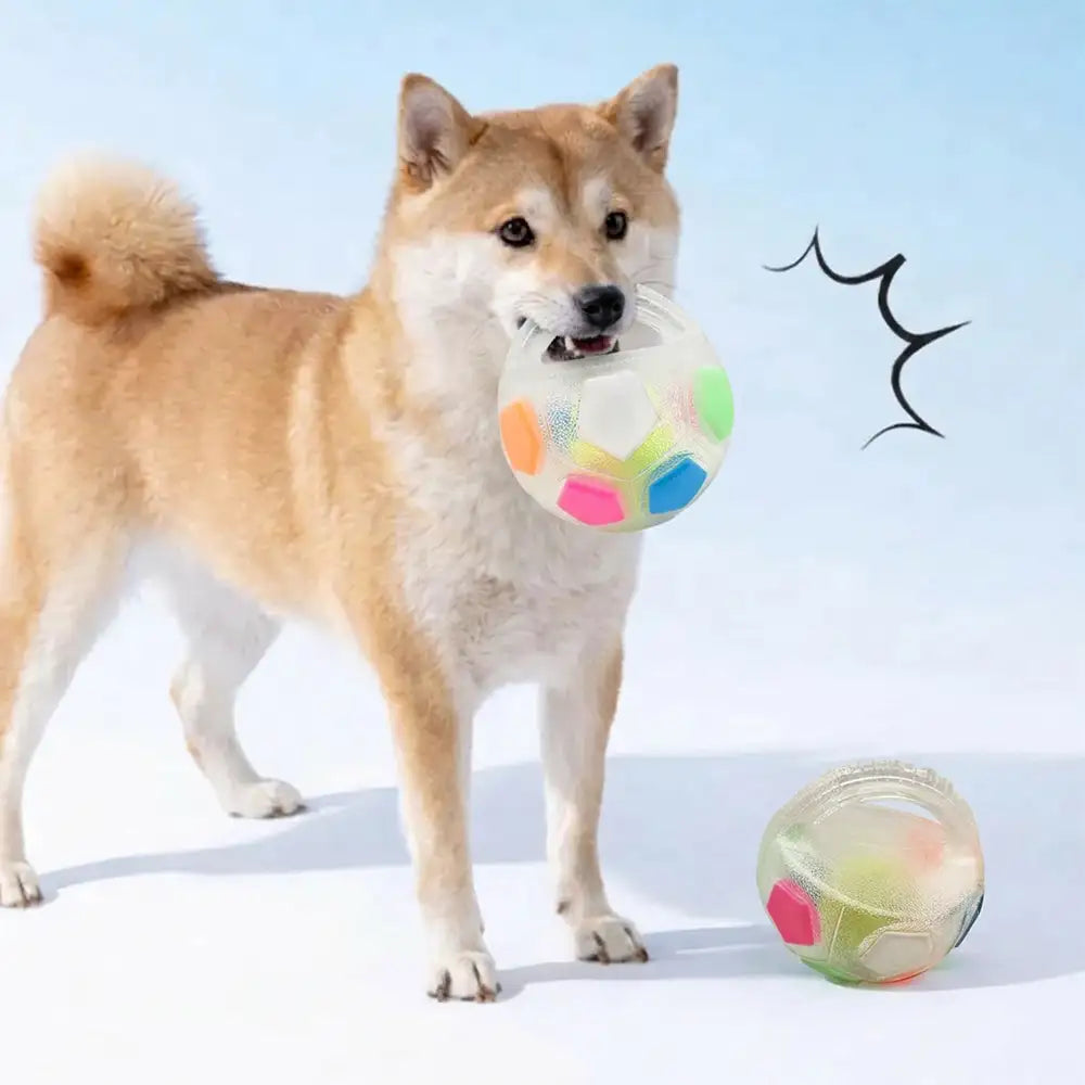 Dog Toy Soccer Ball with Handle Floating Chew Toy
