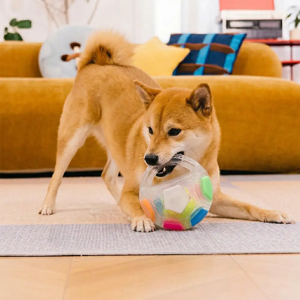 Dog Toy Soccer Ball with Handle Floating Chew Toy
