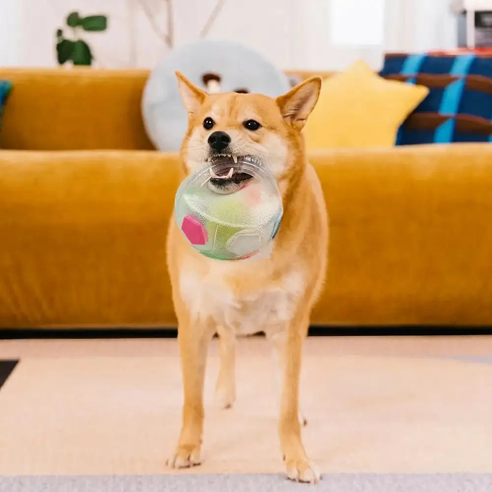 Dog Toy Soccer Ball with Handle Floating Chew Toy