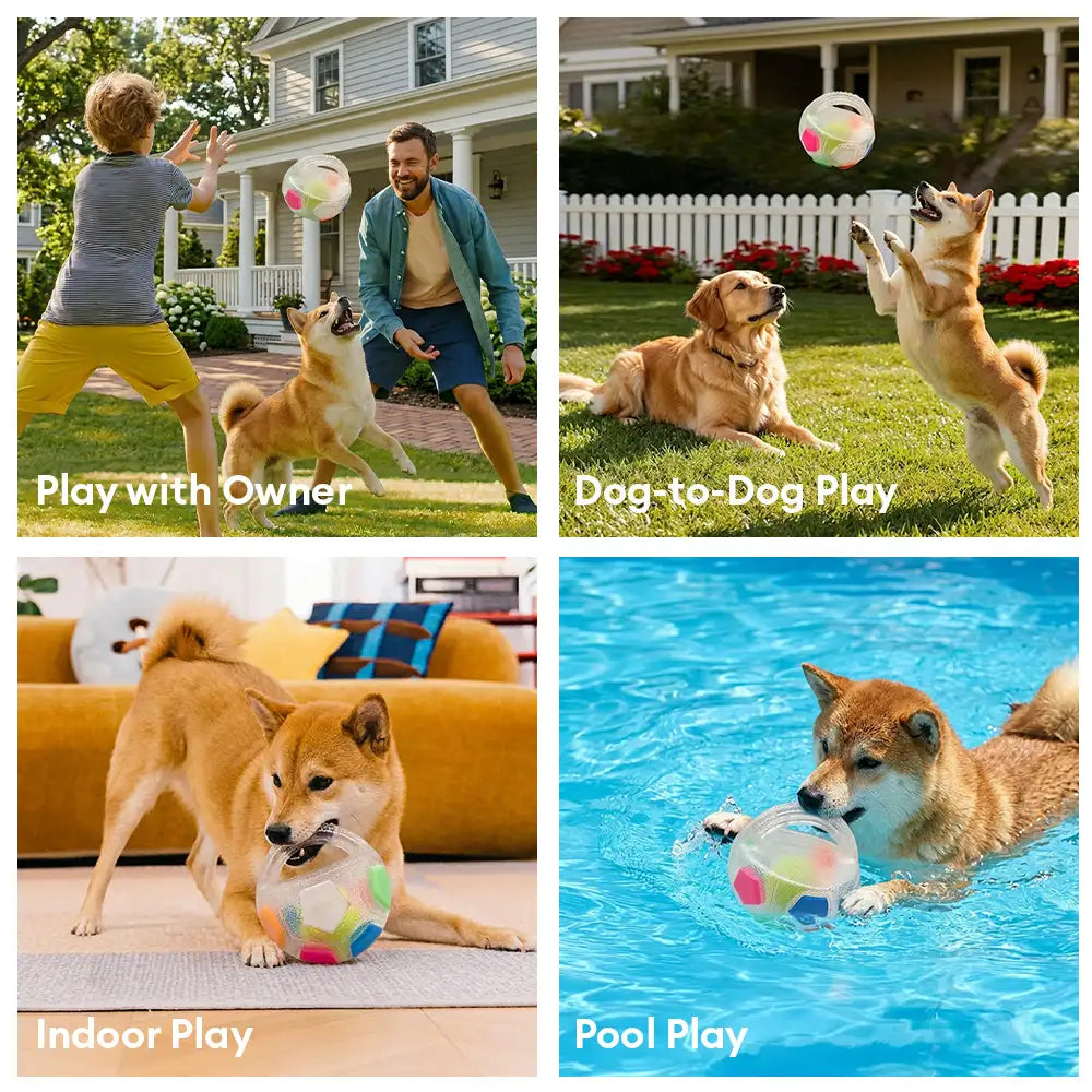 Dog Toy Soccer Ball with Handle Floating Chew Toy